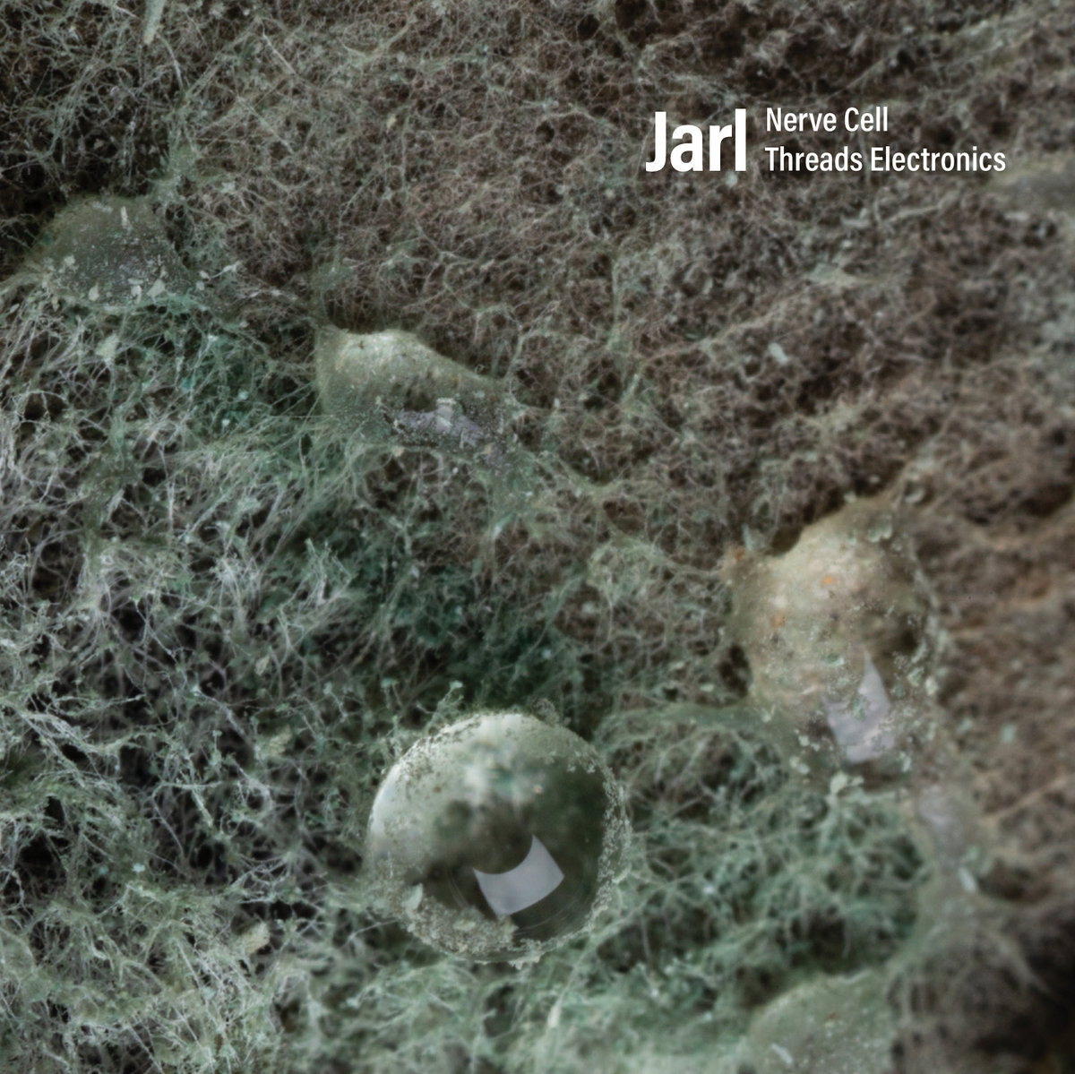 Nerve Cell Threads Electronics